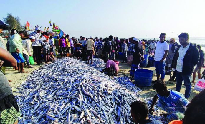 teknaf-fish-100126-01-1768057615