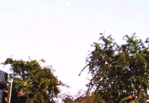 মেঘ পাহাড়ের ভাঁজে, বন্ধুত্বের জলছবি