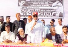 উন্নয়ন বেগবান ও গণতন্ত্র রক্ষায় ধানের শীষে ভোট দিন