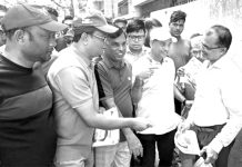 ধানের শীষ স্বাধীনতা ও গণতন্ত্রের প্রতীক