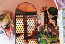 ঝুলন্ত সেতুই ভরসা, অচল কিডস জোনে হতাশা