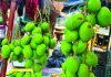 মৌসুমের আগেই টেকনাফে কাঁচা আমের বাজার