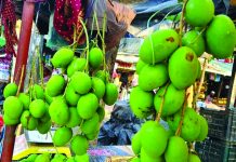 মৌসুমের আগেই টেকনাফে কাঁচা আমের বাজার