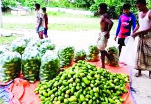 অর্ধশতাধিক উদ্যোক্তার ভাগ্য বদল