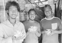 রাঙ্গুনিয়ায় চাষ হচ্ছে সুপারফুড মাশরুম