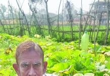 রাঙ্গুনিয়ায় হাইব্রিড মিষ্টি কুমড়া চাষে সাফল্য