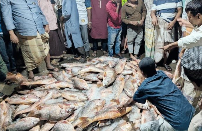 Screenshot 2026-02-25 192932