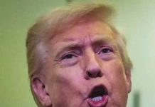 বানর বেশে ওবামা দম্পতি, বর্ণবিদ্বেষী ভিডিও সরালেন ট্রাম্প