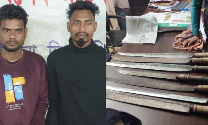 Untitled design (14)