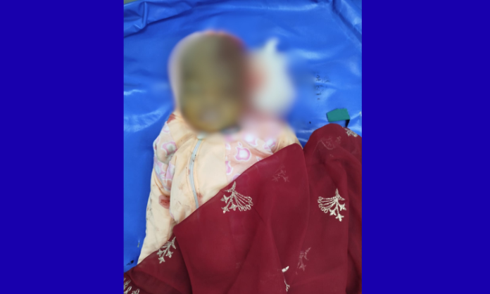 Untitled design (17)