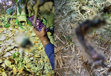 হাটহাজারী থেকে অজ্ঞাত লাশের খন্ডিতাংশ উদ্ধার