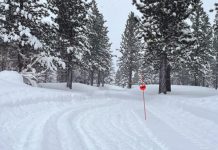 ক্যালিফোর্নিয়ায় তুষারধসের পর ৮ স্কিয়ারের লাশের সন্ধান