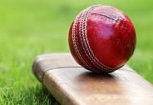 বেপজা ও সানশাইন গ্রামারের জয়