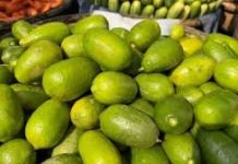 একটি লেবুর দাম ৩০ টাকা