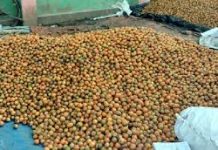 দেড় কোটি টাকার সুপারি বিক্রি ৬৩ লাখে