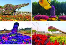 চট্টগ্রাম ফ্লাওয়ার ফেস্টিভ্যাল ২০২৬