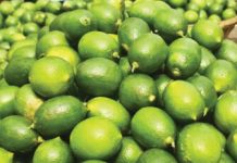 লেবুর দাম তিন-চার গুণ বেশি