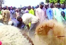 নাইজেরিয়ার গ্রামে প্রাণঘাতী হামলায় ১৭০ জন নিহত সেনা মোতায়েন