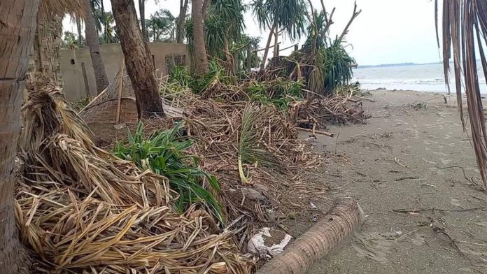 saint-20260221110334