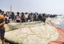 টেকনাফে টানা জালে ধরা পড়ল ১৩০ মণ মাছ, ১০ লাখে বিক্রি