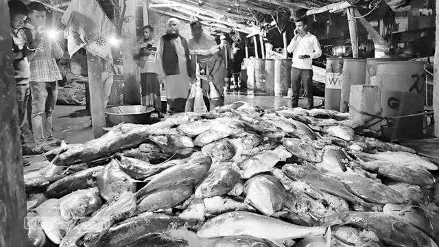 teknaf-nagu-fish-010226-01-1769929838