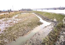 জেগে ওঠা চরে বাঁধ দিয়ে তৈরি হচ্ছে চিংড়িঘের