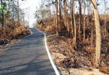 পাহাড়ের কয়েক কিমি এলাকায় শুধু ছাই আর ছাই