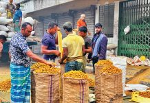 ঢাকা, চট্টগ্রাম ও নাটোরে যাচ্ছে খাগড়াছড়ির হলুদ