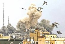 সংঘাতের বলি প্রকৃতি ও পরিবেশ