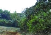 পাহাড় কেটে ইটভাটায় মাটি, ধসের ঝুঁকিতে কবরস্থান