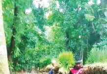 বাঁশের সাঁকোই ভরসা, আশ্বাসেই কাটছে যুগ