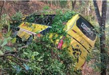 বান্দরবানে পর্যটকবাহী বাস খাদে, আহত ২০