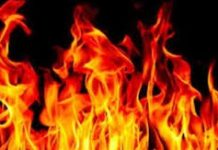 ঋণের টাকা আর টমটম কেনার স্বপ্ন পুড়ল আগুনে