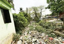 ২৪ কিমি দীর্ঘ বামনসুন্দর খাল ঘিরে আশা