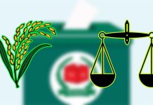 ধানের শীষ পেয়েছে ৩ কোটি ৭৪ লাখ ভোট, দাঁড়িপাল্লা ২ কোটি ৩৮ লাখ