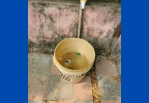 রাঙ্গুনিয়ায় বালতির পানিতে পড়ে শিশুর করুণ মৃত্যু