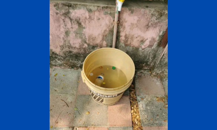 রাস্তায় ফেলে স্ত্রীকে প্রকাশ্যে জবাই করে হত্যা