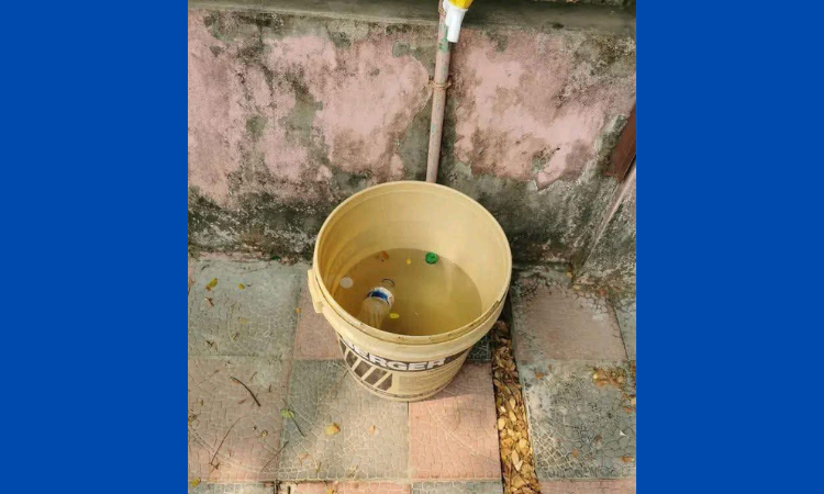 রাঙ্গুনিয়ায় বালতির পানিতে পড়ে শিশুর করুণ মৃত্যু – দৈনিক আজাদী রাঙ্গুনিয়ায় বালতির পানিতে পড়ে শিশুর করুণ মৃত্যু – দৈনিক আজাদী