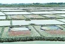 কালবৈশাখী ঝড়ে কক্সবাজারে লবণ উৎপাদন ব্যাহত, দুশ্চিন্তায় চাষিরা