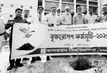 বান্দরবান বিশ্ববিদ্যালয়ে বৃক্ষরোপণ কর্মসূচি