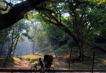 সিআরবিতে আবার হাসপাতাল নির্মাণের চেষ্টা হলে আইনি পদক্ষেপ : বিএইচআরএফ