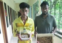 পাচারের জন্য ময়না ও টিয়া পাখি মজুদ গ্রেপ্তার ২