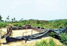 দুই মাস ধরে সংরক্ষিত বনভূমির টিলা ও সমতলের জায়গা দখল