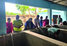 হালদা হ্যাচারি পরিদর্শনে জেলা মৎস্য কর্মকর্তা