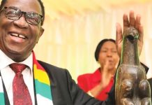 ১৩৭ বছর পর নিজ দেশে ফিরল জিম্বাবুয়ে বার্ড