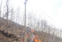 ইচ্ছে করে ধরিয়ে দেয় আগুন, জ্বলে পাহাড়ের পর পাহাড়