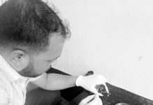 চিকিৎসকের দরজায় অসুস্থ কাক