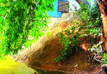 হাটহাজারীতে পুকুর ভরাটের চেষ্টা, অর্ধ লাখ টাকা জরিমানা