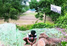 মহেশখালীতে কালবৈশাখীর তাণ্ডব, লণ্ডভণ্ড অর্ধশতাধিক ঘরবাড়ি