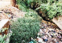 দখল-দূষণে মরতে বসেছে ‘মরা খাল’